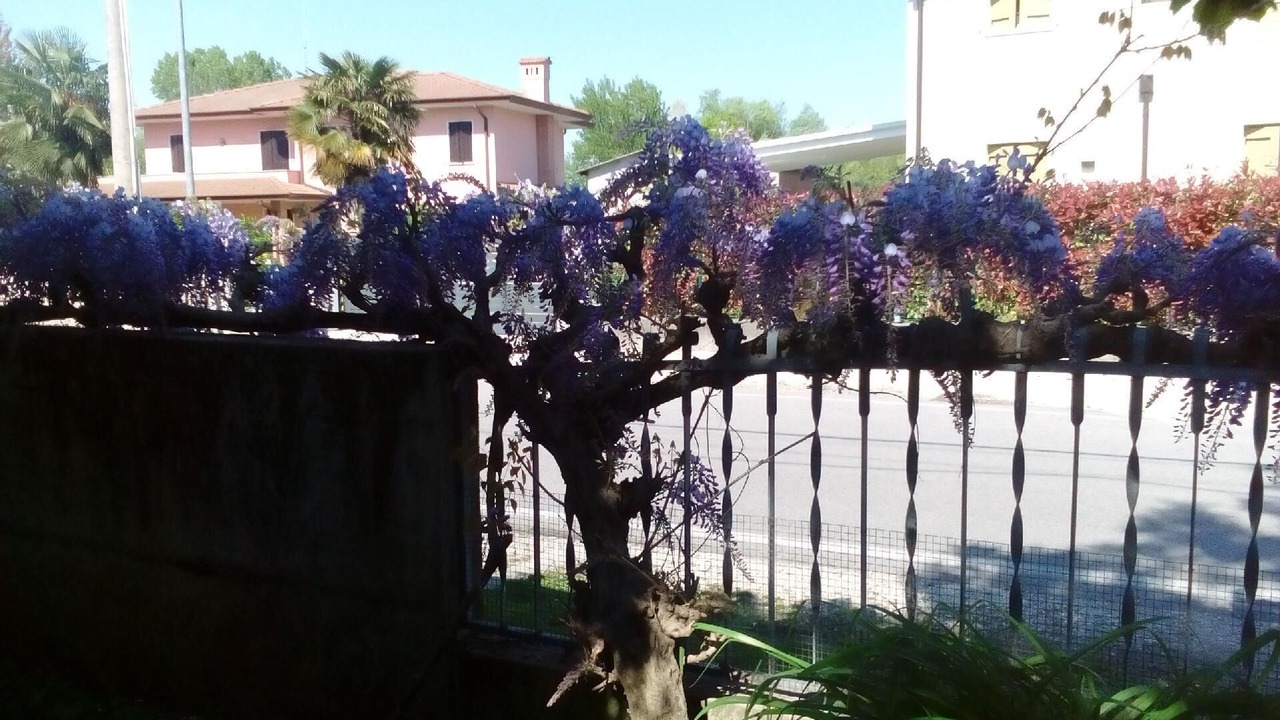 Photo of Outdoor in Noventa di Piave