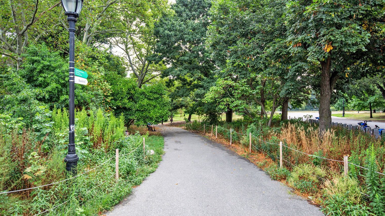 Photo of Outdoor in Park Slope
