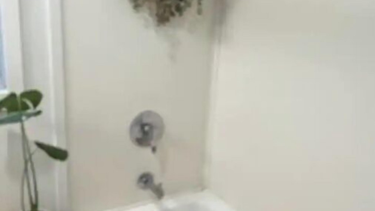 Photo of Bathroom in East New York