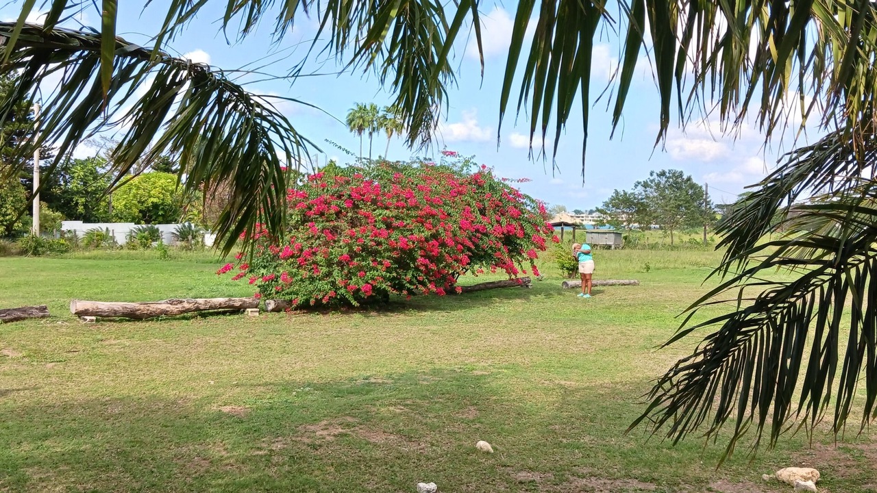 Photo of Outdoor in Runaway Bay