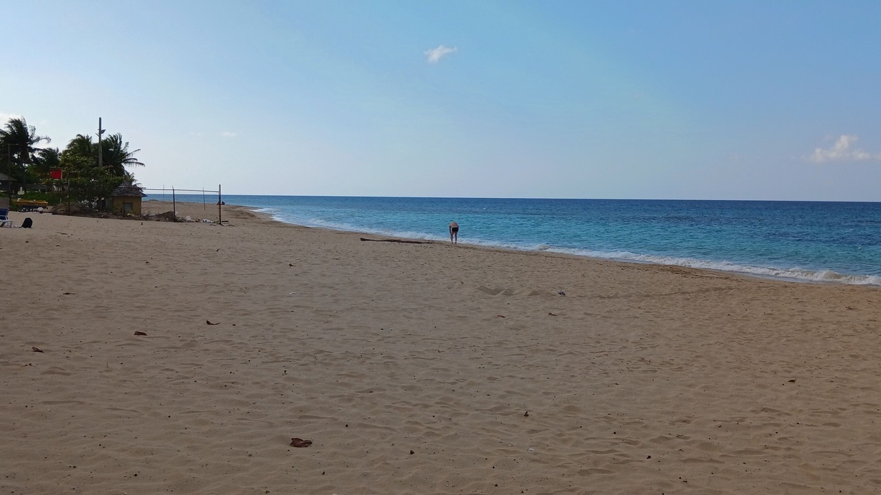 Photo of Others in Runaway Bay