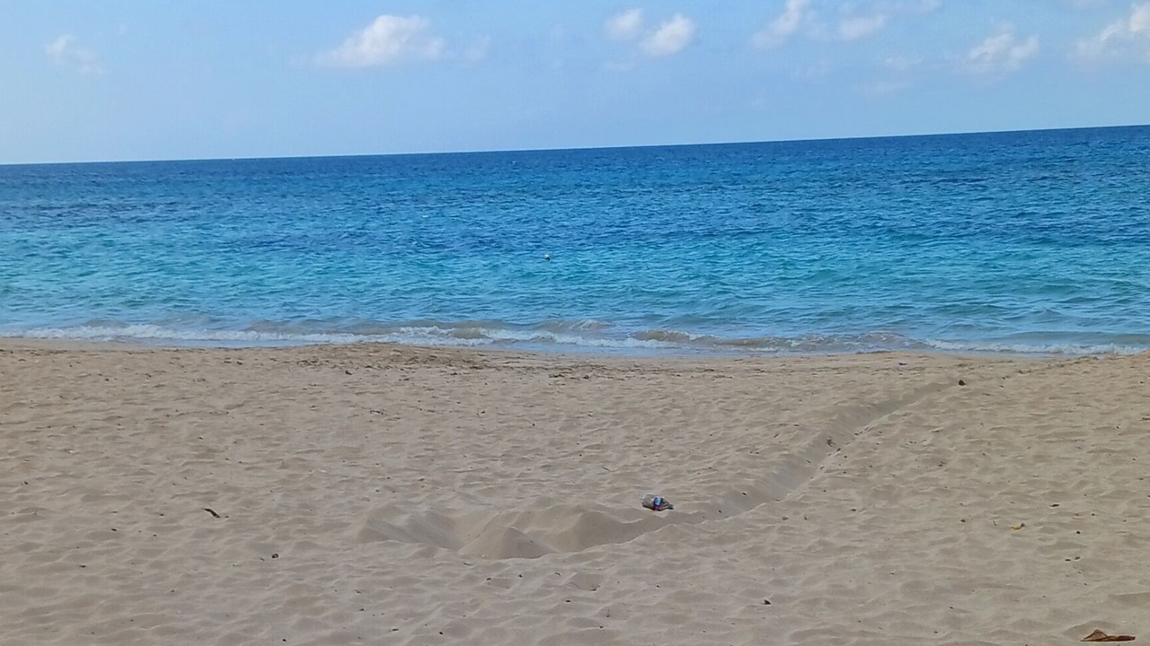 Photo of Others in Runaway Bay