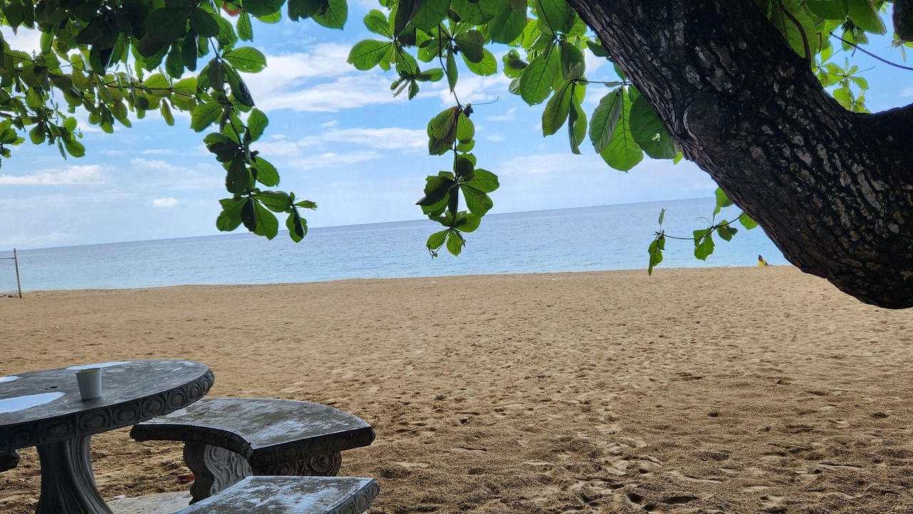 Photo of Others in Runaway Bay