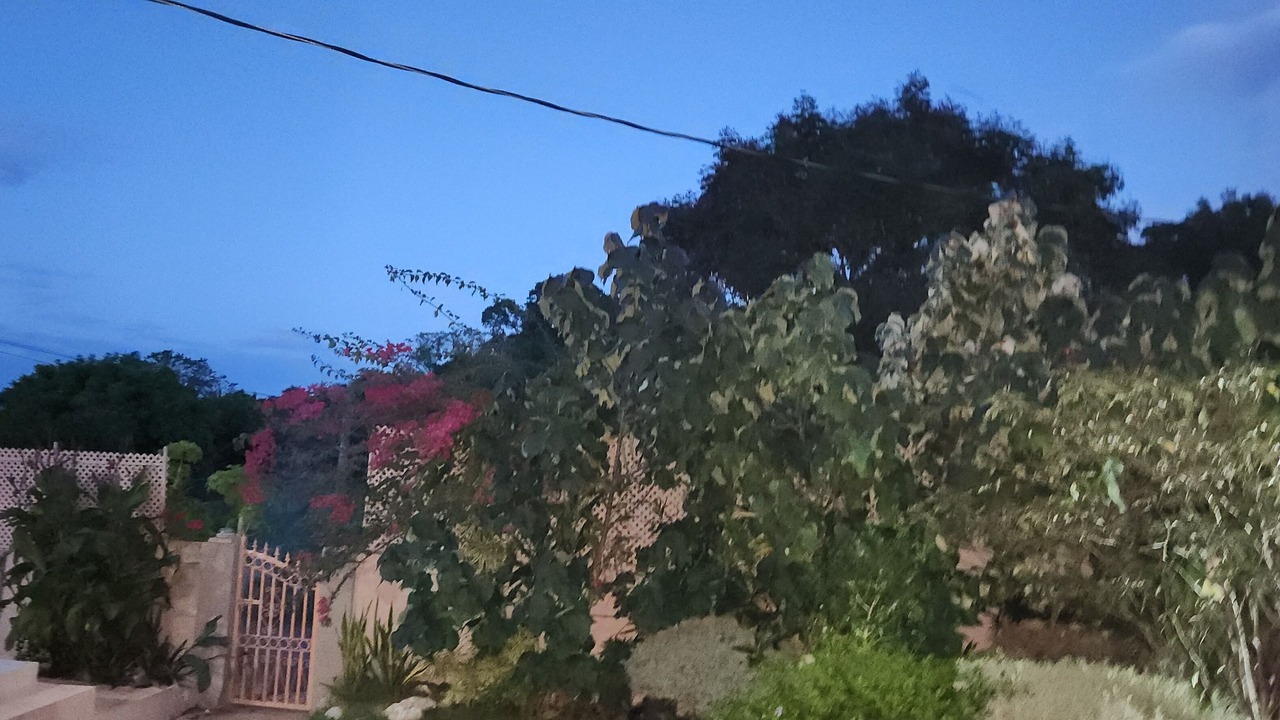Photo of Outdoor in Runaway Bay