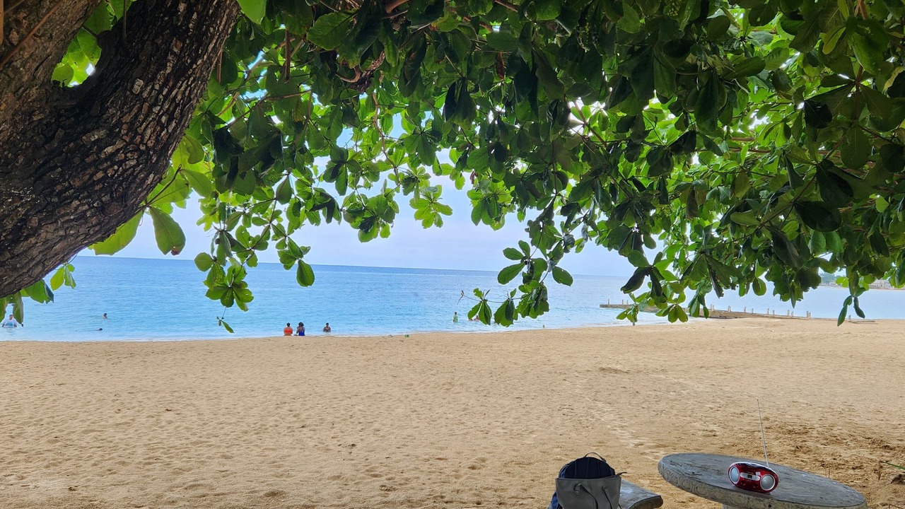 Photo of Others in Runaway Bay