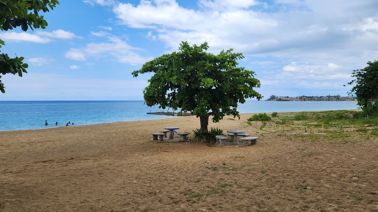 Photo of Others in Runaway Bay