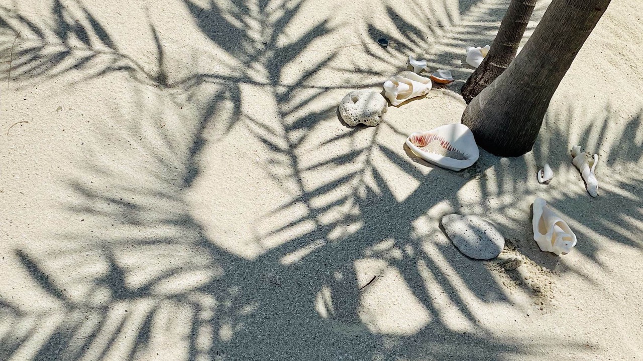Photo of Others in Alice Town