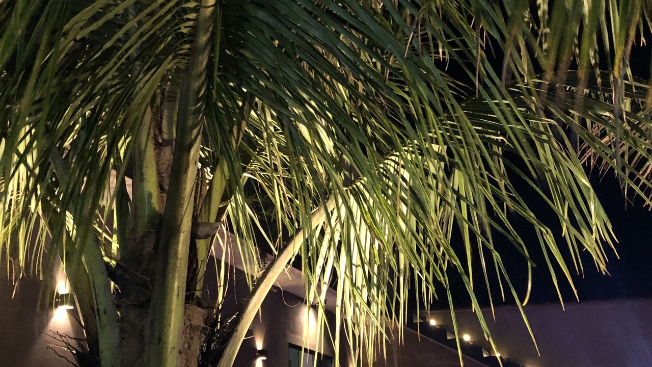 Photo of Outdoor in Rasa