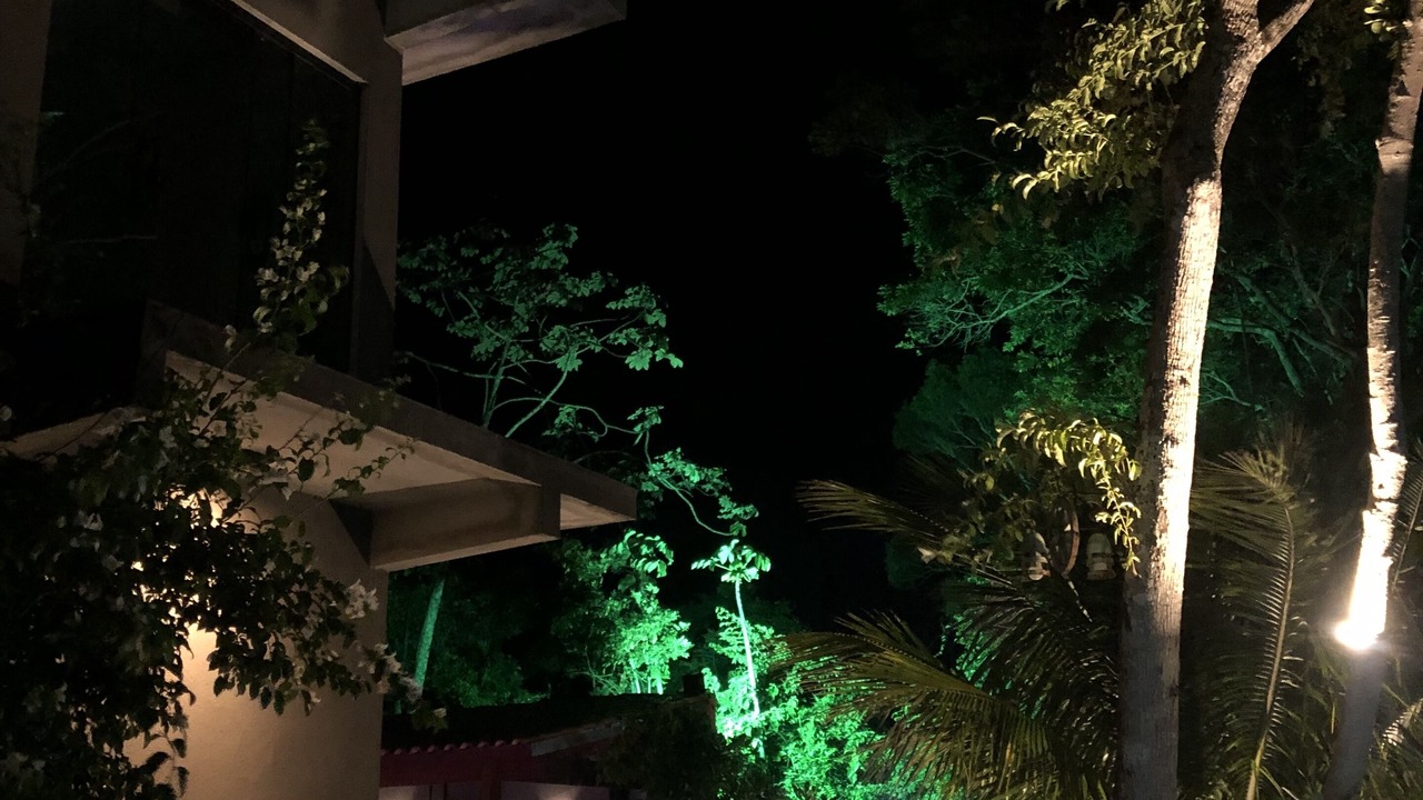 Photo of Outdoor in Rasa