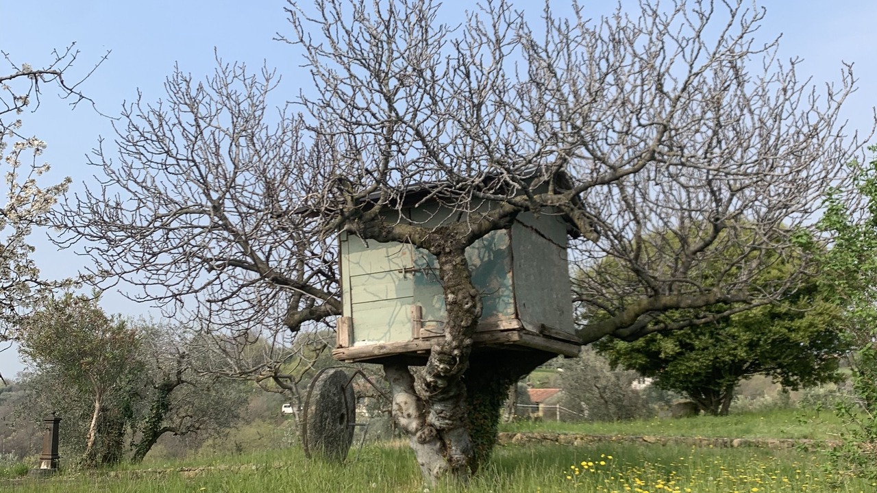 Photo of Outdoor in Mason Vicentino