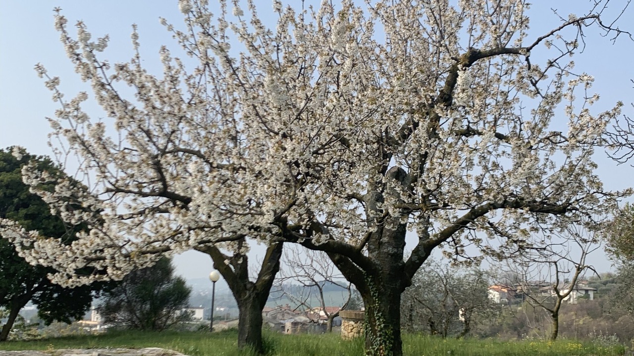Photo of Outdoor in Mason Vicentino