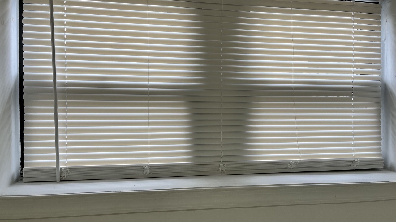 Photo of Bedroom in East Flatbush