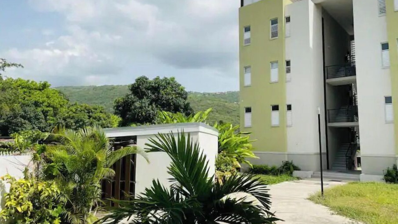 Photo of Outdoor in Patrick City
