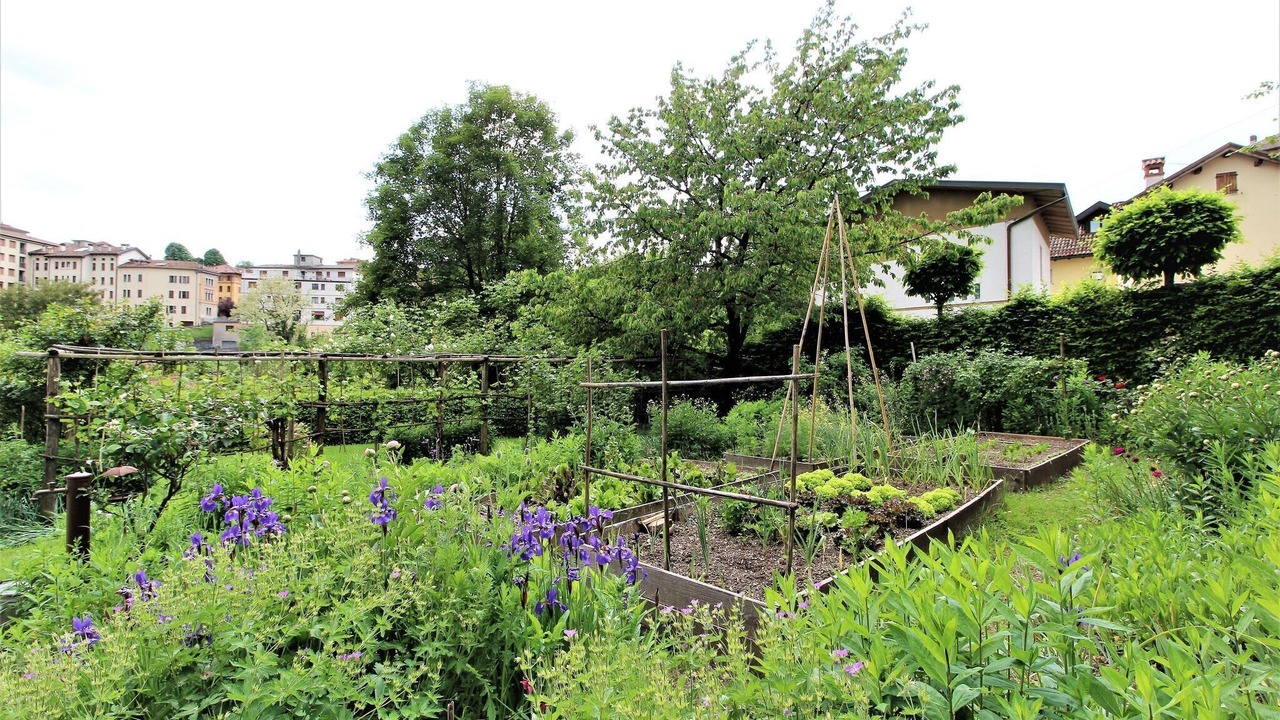 Photo of Outdoor in Belluno