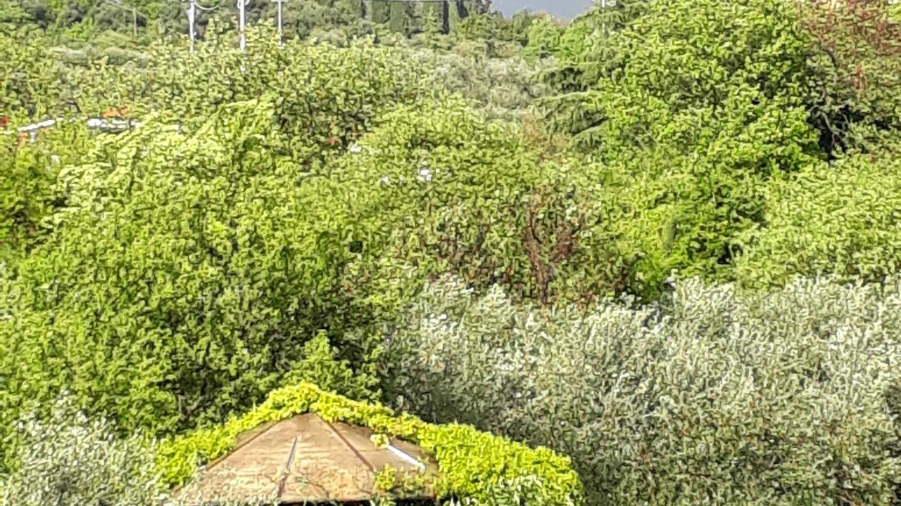 Photo of Outdoor in Nord-Est