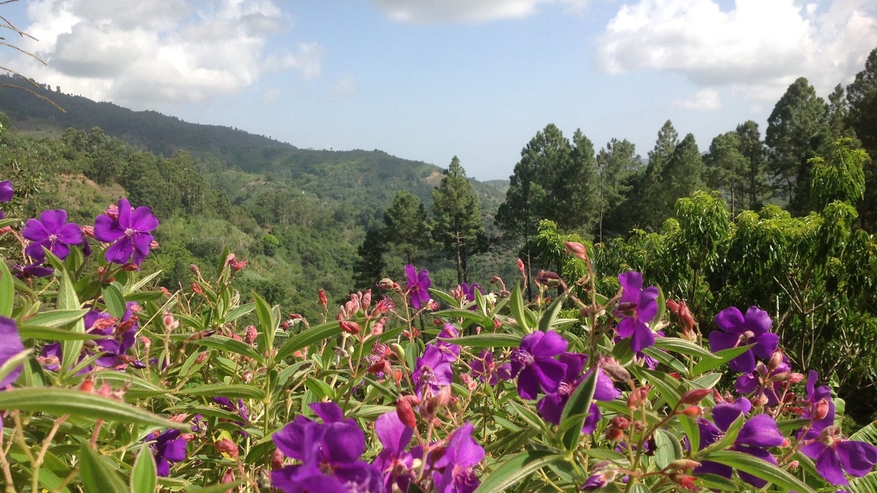 Photo of Outdoor in Silver Hill Gap