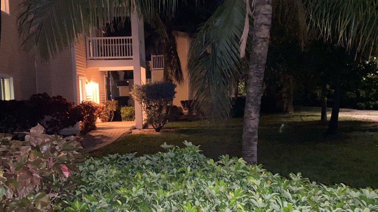 Photo of Outdoor in Alice Town
