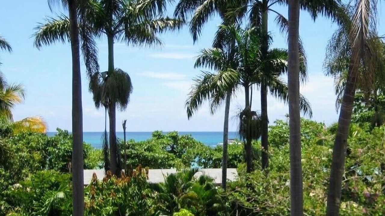 Photo of Outdoor in Negril