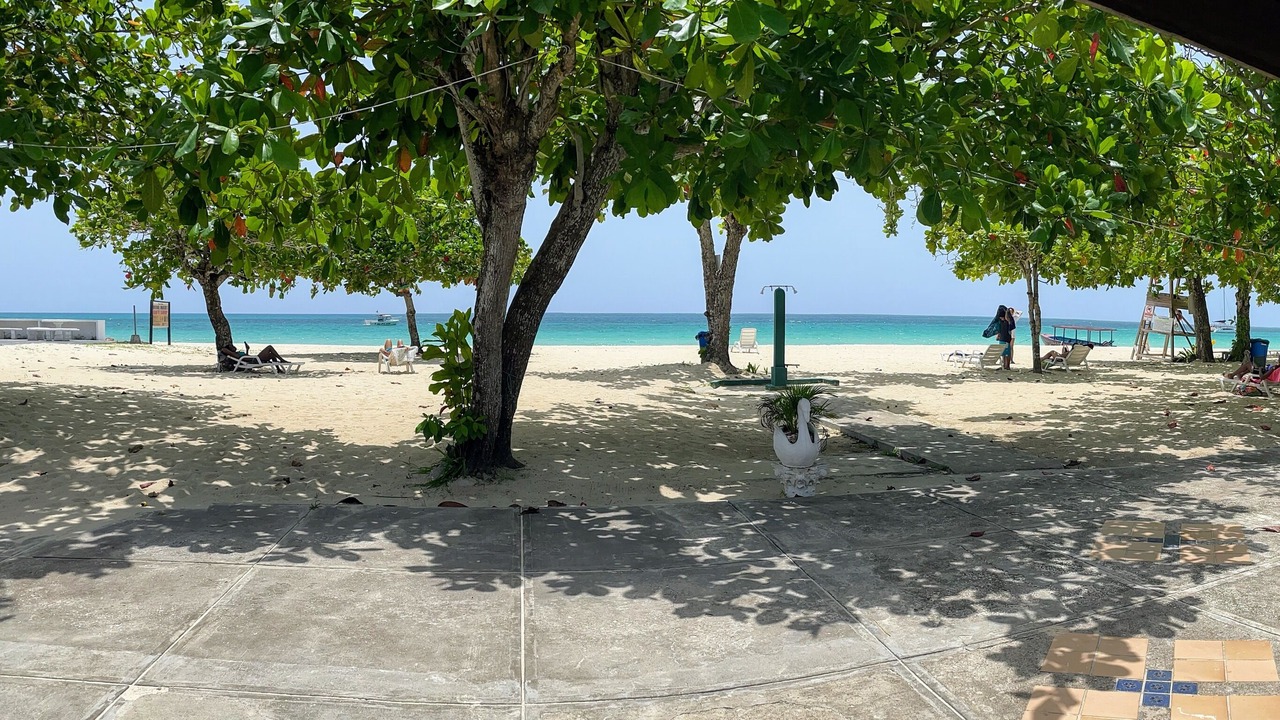Photo of Others in Negril