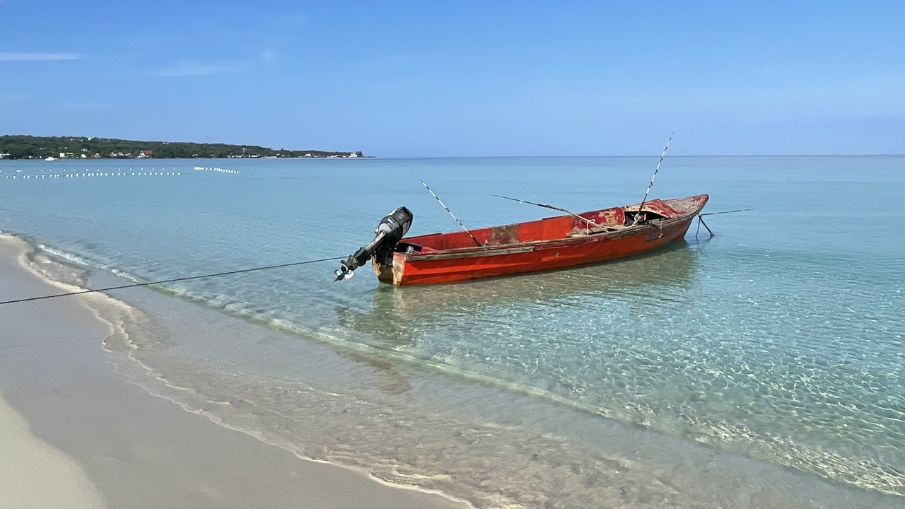 Photo of Others in Negril
