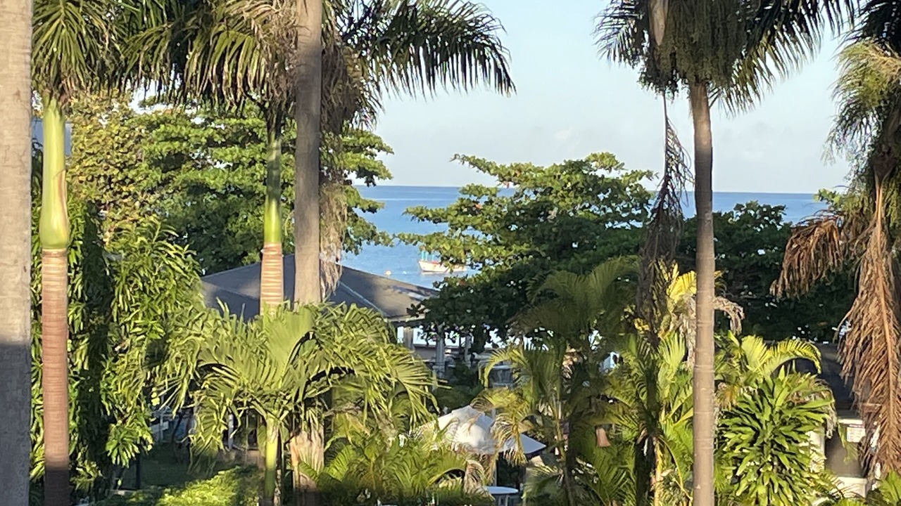 Photo of Outdoor in Negril