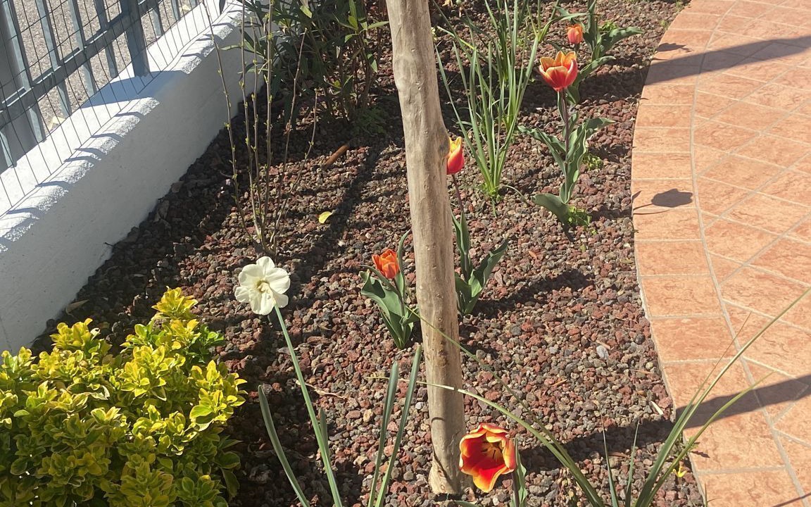 Photo of Outdoor in Portegrandi