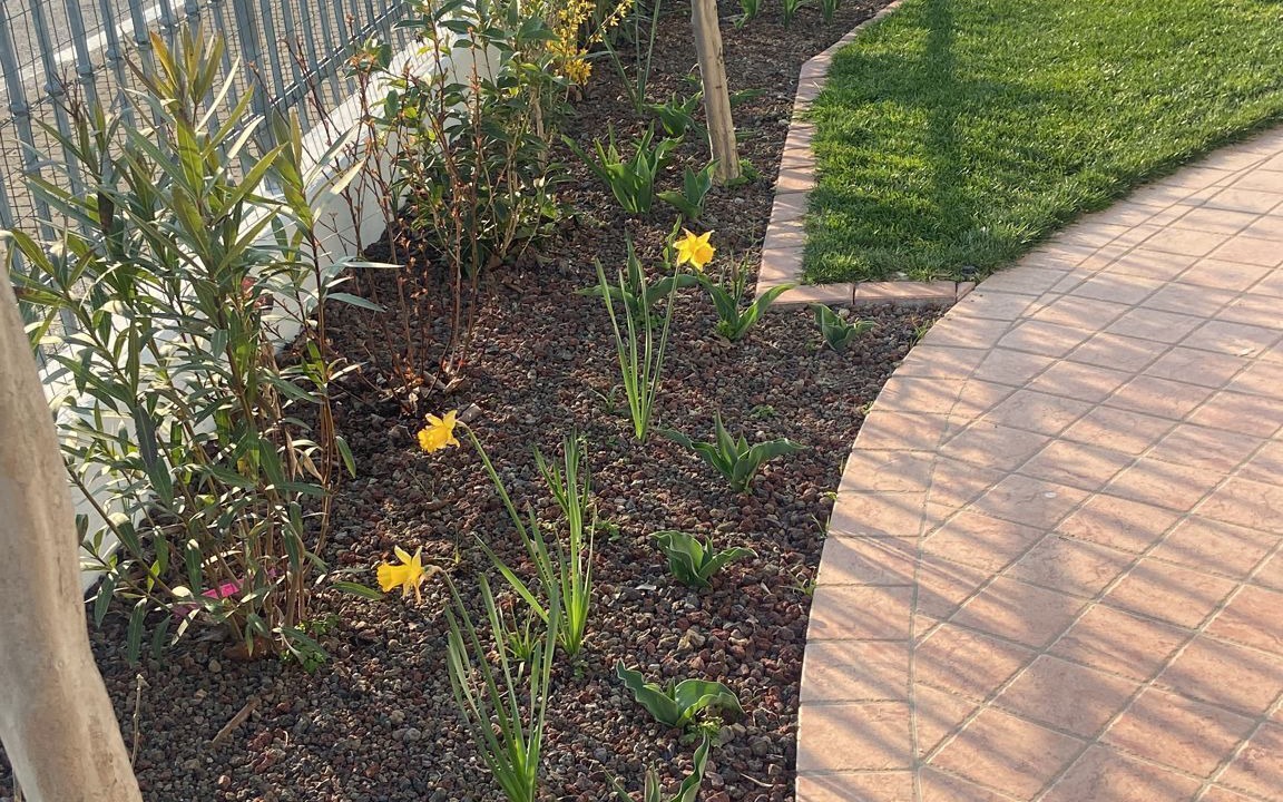 Photo of Outdoor in Portegrandi