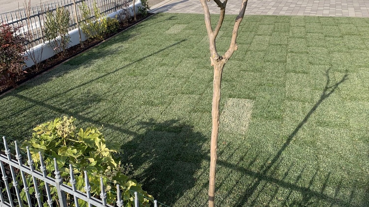 Photo of Outdoor in Portegrandi