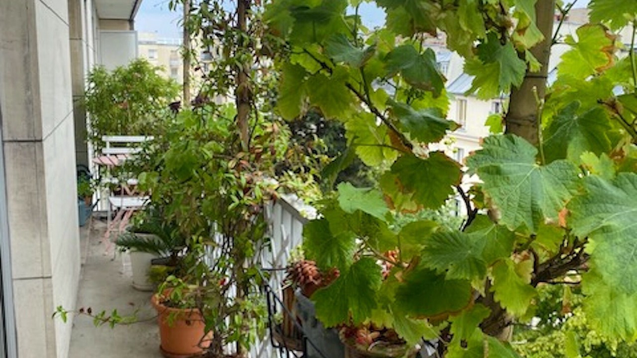 Photo of Outdoor in Porte-Saint-Martin