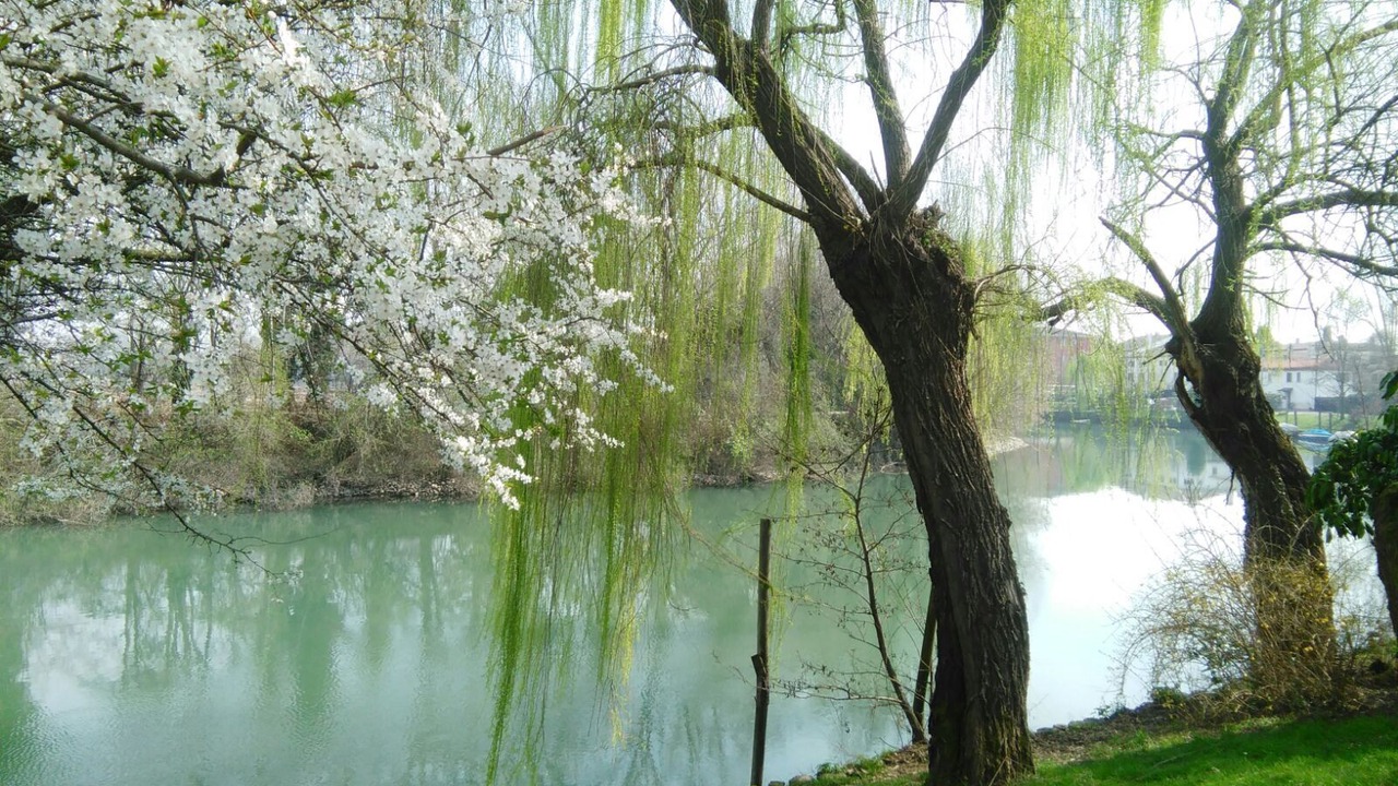 Photo of Outdoor in Pedeguarda di Follina