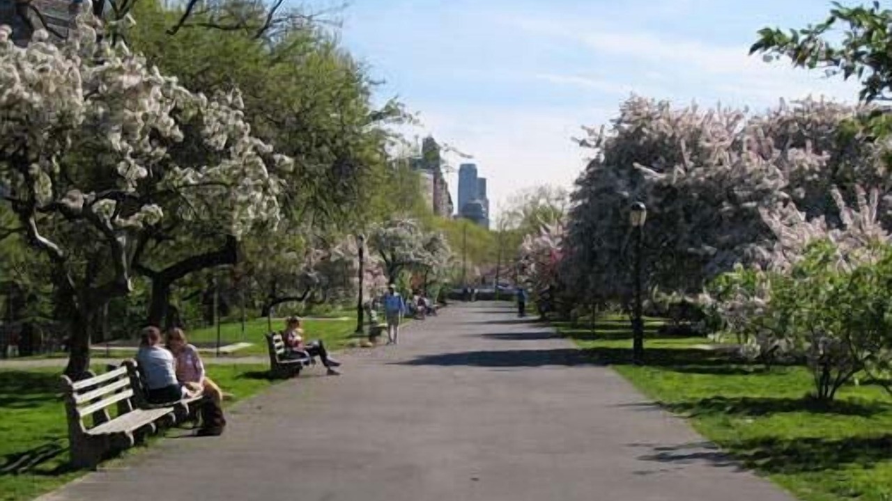Photo of Others in Central Park West