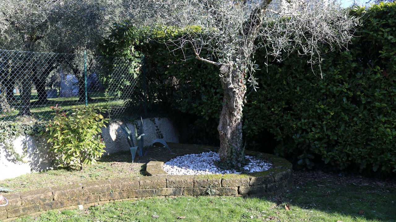 Photo of Outdoor in Montioni