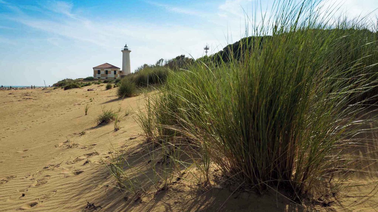 Photo of Others in Bibione Pineda