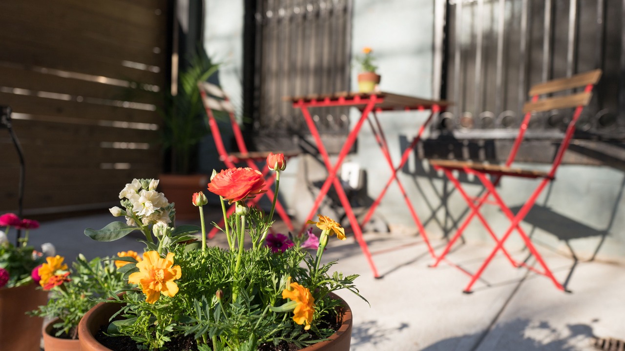 Photo of Patio Balcony in Ocean Hill