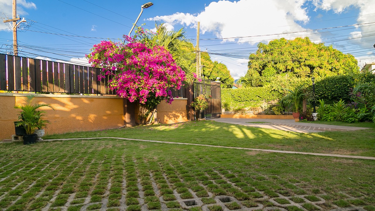 Photo of Outdoor in Eastwood Park