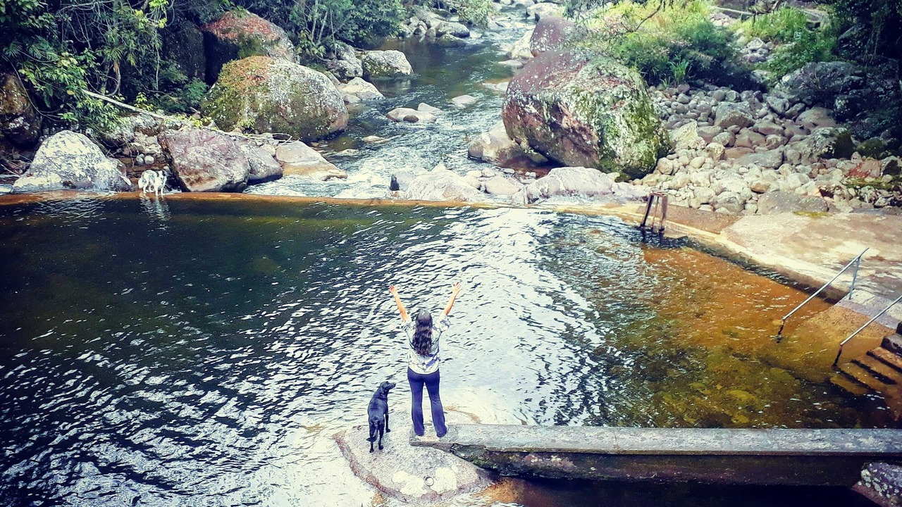 Photo of Others in Itatiaia