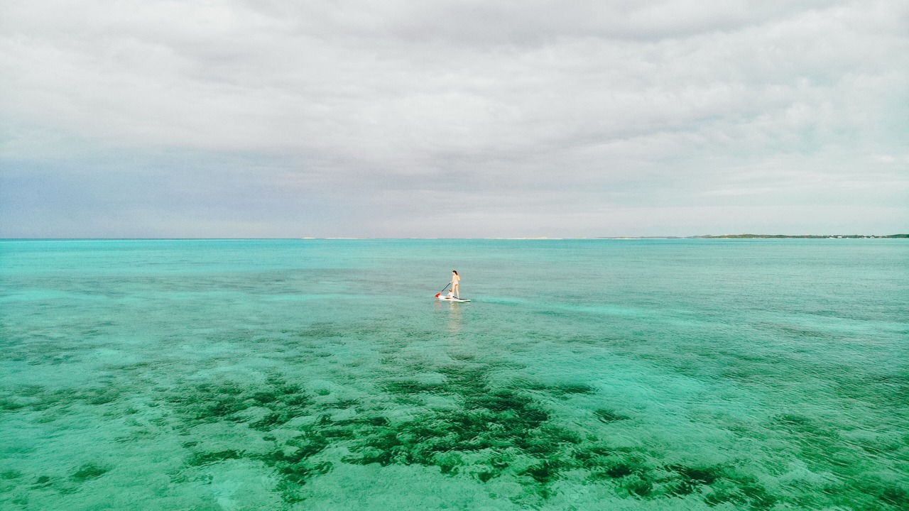 Photo of Others in Tar Bay