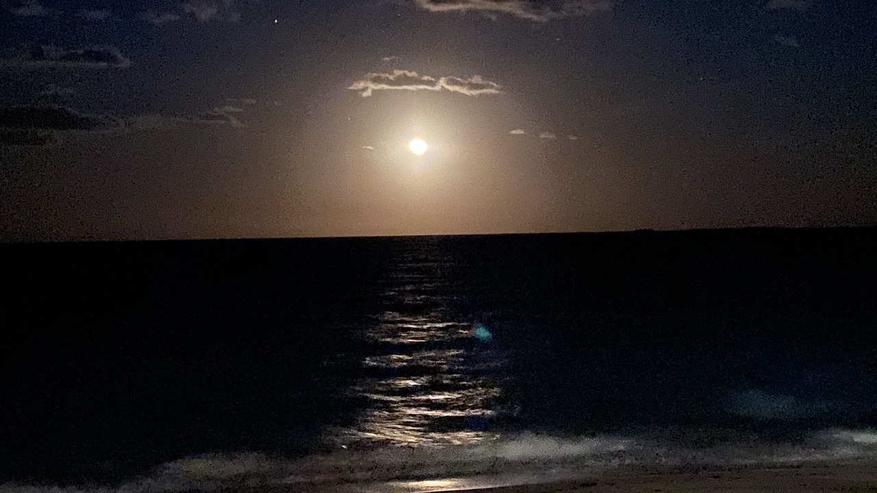 Photo of Others in Tar Bay
