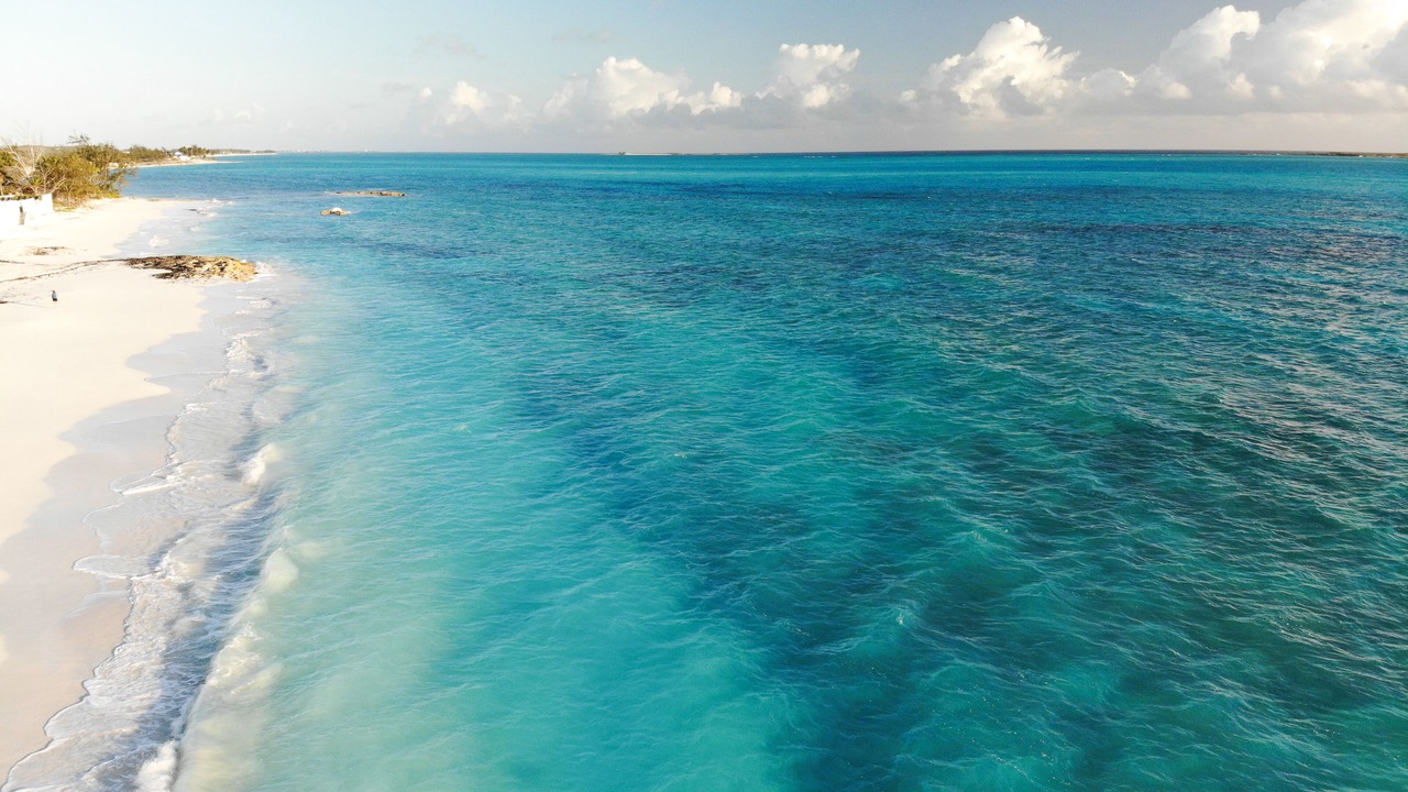Photo of Others in Tar Bay