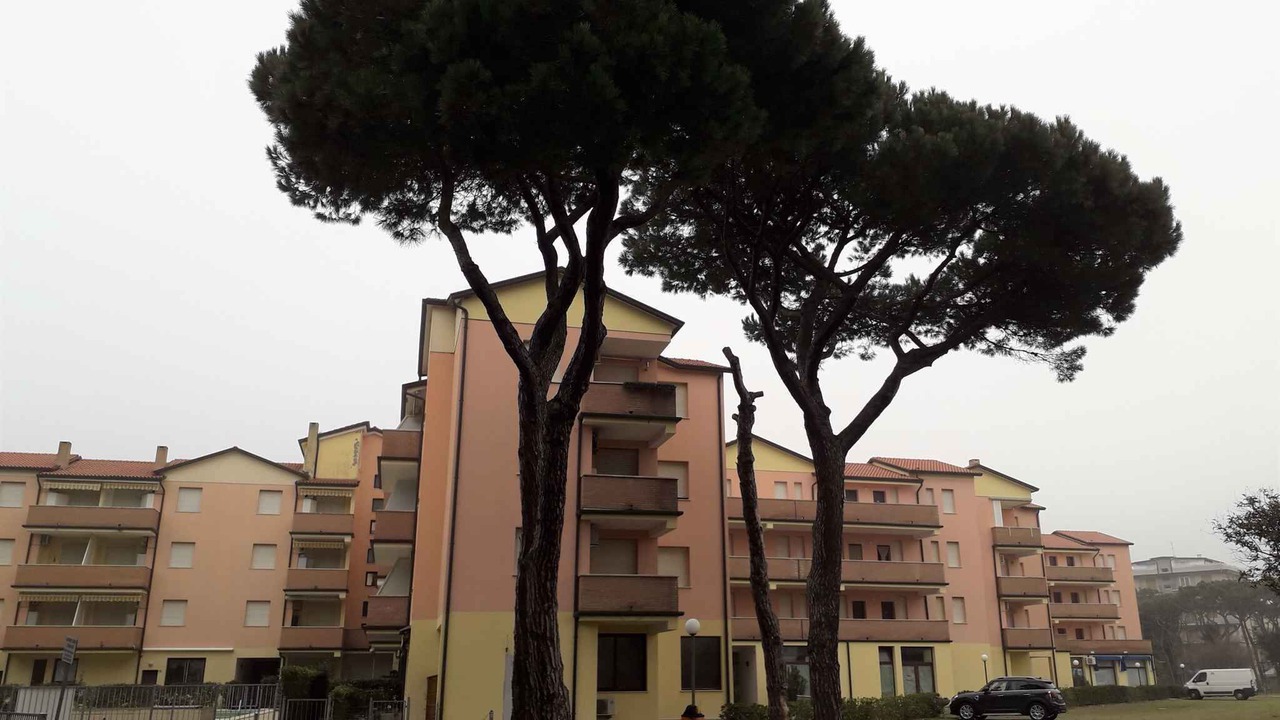 Photo of Outdoor in Rosapineta