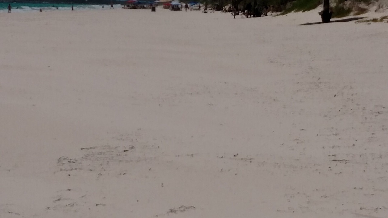 Photo of Others in South Palmetto Point