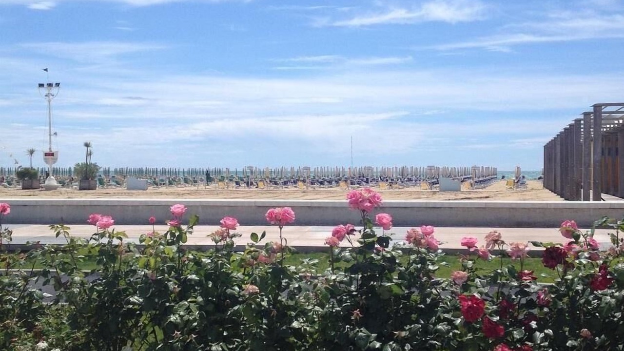 Photo of Others in Bibione Lido dei Pini