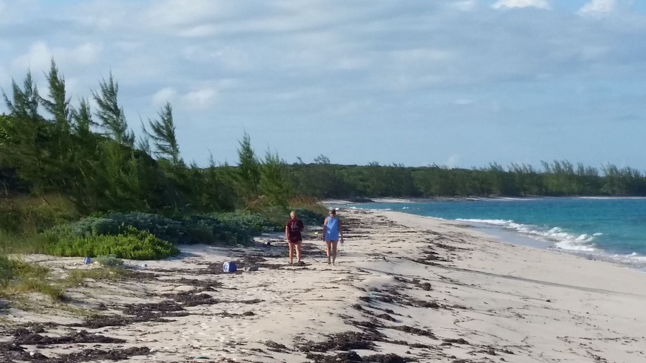 Photo of Outdoor in South Palmetto Point