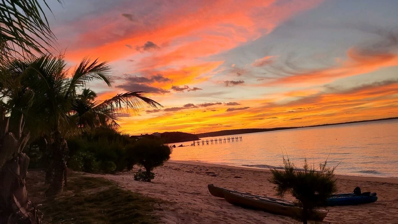 Photo of Others in South Palmetto Point
