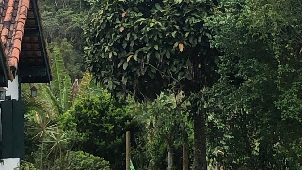 Photo of Outdoor in Sao Pedro da Serra