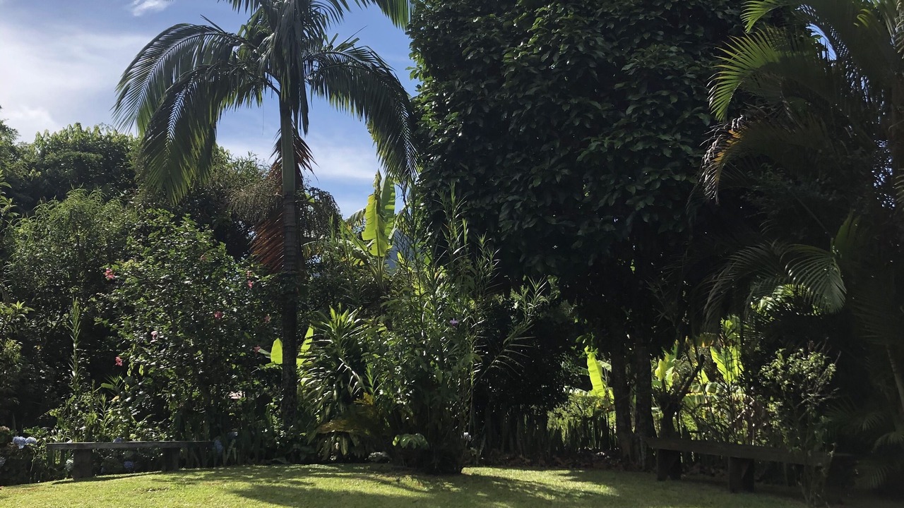 Photo of Outdoor in Sao Pedro da Serra