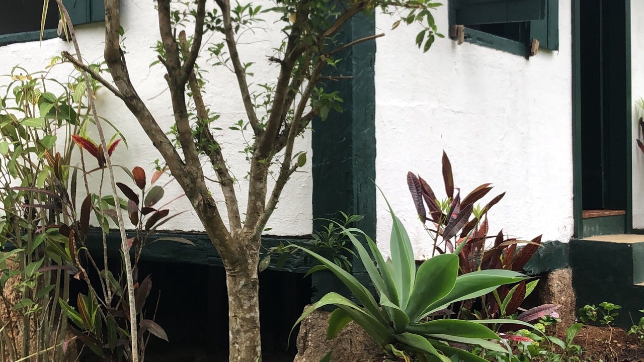 Photo of Outdoor in Sao Pedro da Serra