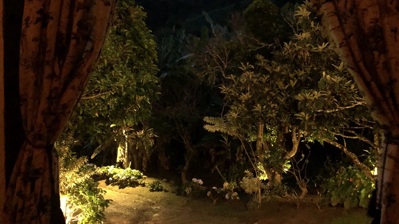 Photo of Others in Sao Pedro da Serra