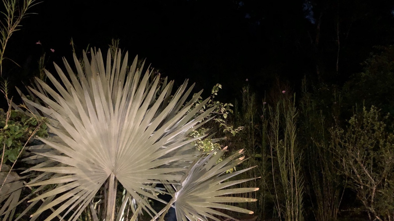 Photo of Outdoor in Sao Pedro da Serra