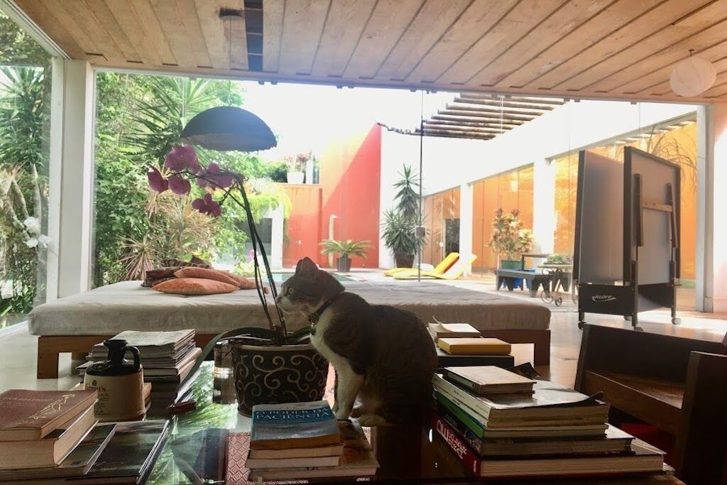 Photo of Bedroom in Praia Rasa